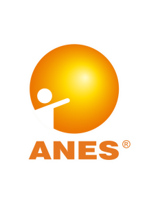 anes2