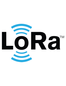lora2